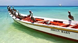Beste strandhotels in venezuela bei tripadvisor: Karibik Traumreise Los Roques Traveljunkies Tours