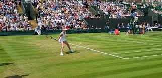 Official account of the championships, wimbledon wimbledon.com. Who Will Win Wimbledon 2021 Love Tennis Blog