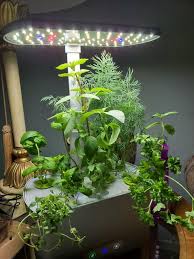 Just plug it in and grow. Harvest Indoor Garden W Led Grow Light Aerogarden