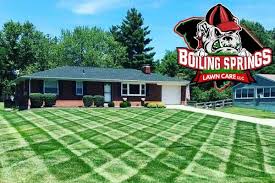 Brightstar lawn & landscaping is your answer to lawn care service near me. Lawn Landscape Tree Services Boiling Springs Lawn Care Call 864 542 6468