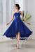 Dark Blue Wedding Dress