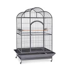 Bird Cage Seed Guard Petsmart Prevue Pet Products Signature Series Wrought Iron Silverado Macaw Dometop Bird Cage In Silver Large Bird Cages Macaw Cage Bird Cages For Sale