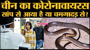 जानिए Coronavirus के बारे में, जो China के बाद India भी आ सकता है | Covid19  | SARS-Cov-2 | Symptoms - YouTube