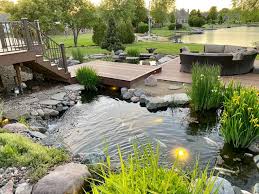 Adding in a koi pond will immediately add a sense of peace and relaxation to your backyard. Oak Creek Koi Pond Family Loves Backyard Waterfalls Fish