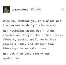 Pin By Cadence On Meirl In 2020 Wiccan Witch Witchcraft Eclectic Witch