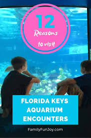 12 Reasons To Visit Florida Keys Aquarium Encounters Family Fun Joy Visit Florida Florida Keys Key West Aquarium