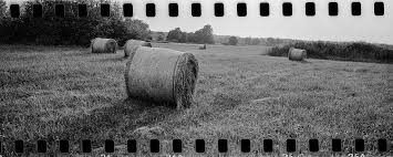 Pin On Photos
