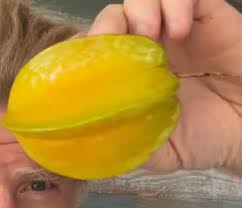 Image result for Averrhoa carambola