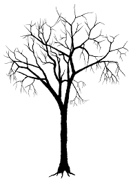 Silhouette Of Trees Oak Tree Tattoo Oak Tree Silhouette Silhouette Drawing