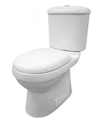 Shanghai sanitwell industrial co., ltd. Baron W 203a 2 Piece Toilet Bowl Mr Plumber Singapore 1 Recommended Plumbing Services Singapore