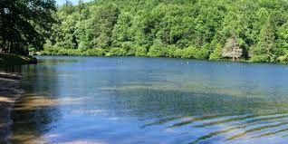 2024 Phoenix Bass Fishing League