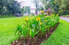 Great beach with stunning pink sand, lovely pool, beautiful rooms, it is a hidden gem in sri lanka. Royal Botanical Garden Of Kandy Boasts Beautiful Tropical Flowers Stock Photo Picture And Royalty Free Image Image 77042631