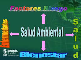 Resultado de imagen para salud ambiental