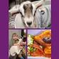 Brunch and Baby Goat Snuggles | Oct 19 event image