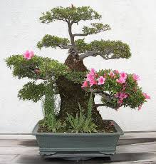 Pin Auf Eben Essences