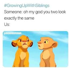Pinterest Kekedanae20 Throne Of Glass Throne Of Glass Series Growing Up With Siblings