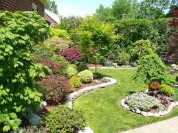 My Garden Maple Garden In Ohio Garden Design Japanese Maple Garden Front Yard Landscaping Modern Landscaping