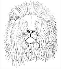 This will add to the angry expression of the lion. How To Draw A Lion