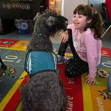 Pawsitive Friendships added a new...