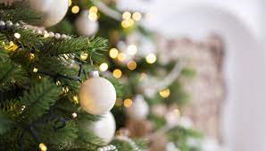 Von hanno hall | 31. Homburg Weihnachtsbaume Werden Kostenlos Abgeholt Homburg1
