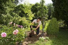 Who is the architect of the paradise garden? Ideas For The Green Paradise Gardena Online Press Center