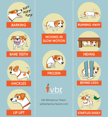 Severe Stress Signs In Dogs Infographic Conestoga Animal Hospital