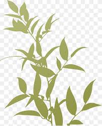 Plants are defenseless against the munching mouths of herbivorous animals, but some carnivorous plant species take matters into their own stems by snacking on bugs. Plants Trivia Silhouette Plant Silhouette Animals Leaf Shading Png Pngwing