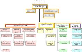 Pod Ics Organization Chart