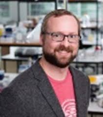 The Distribution and Conservation Status of the Green Salamander (Aneides  aeneus) in Tennessee, USA