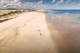 Pour une découverte familiale de la région, on va essayer de satisfaire tous les goûts et tous les âges. 4 Jours Nature A La Decouverte Des Landes Trip In Wild Blog Voyage