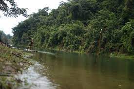 Jumlah keluasan taman negeri royal belum hampir 90% daripada. Love Our Nature Teamtnpk Taman Negeri Royal Belum Facebook