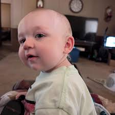 What plants grow in sandy soil and steps to take?