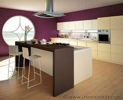 Royale Luxury Enamel Paint From Asian