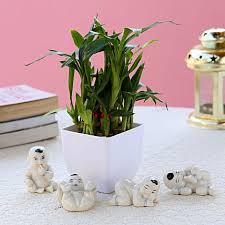 Novica, the impact marketplace, features a unique good luck gift collection handcrafted by talented artisans worldwide. Send Good Luck Gifts Online Good Luck Gift Ideas Ferns N Petals