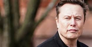 Kate Bollinger Announces Debut Album, Shares Video for New Single 'Any Day  Now'