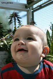 10960134_748142211959511_8269245753412200484_o