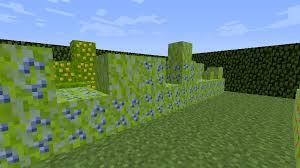 AARON Server [Survival 100%] Minecraft Server