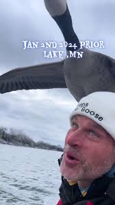 #peepsthegoose #cobrachicken #fyp #minnesota #duckhunt