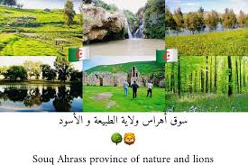 بعض من مناظر ولاية سوق اهراس اقصى الشرق الجزائري ارض الاسود والتاريخ والجمال حيث الطبيعة العذراء nature algeria earth