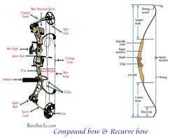 Compare Compound Bow Vs Recurve Bow Best Compound Bow