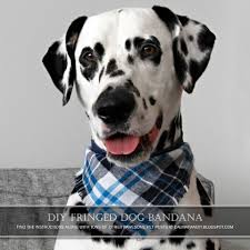 Diy Fringed Flannel Dog Bandana With Accent Trim Neck Ties Dalmatian Diy Dog Bandana Pattern Flannel Dog Bandana Dog Bandana