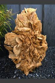 Check spelling or type a new query. Monolith Versteinertes Holz 80cm Monolithique