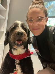 Untitled (Presentation (16:9))