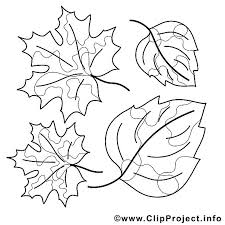 Herbst Ausmalbilder Gratis Ahornblatt Birkenblatt Ausmalbilder Gratis Herbstbilder Herbst Bilder