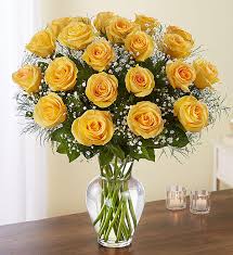 Maybe you would like to learn more about one of these? Ultimate Yellow Roses 24 36 48 Flower Delivery North Fort Myers Fl North Fort Myers Florist
