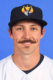 Daniel Mengden minor league baseball statistics