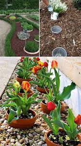 Pin By Maria Nelas On Kert Easy Garden Plants Budget Garden