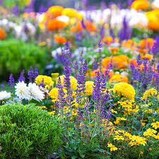 Whether it's your dream home or your first home, we have everything does your pet love joining you in the garden? Gardening At Menards