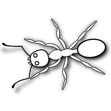 These colors can basically include the need. Free Printable Ant Coloring Pages For Kids