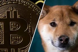 Dogecoin was started out to mock bitcoin but its now got celebrity investors. Is Dogecoin A Joke Or A Genuine Bitcoin Rival Experts Predict Who Will Get Last Laugh City Business Finance Express Co Uk